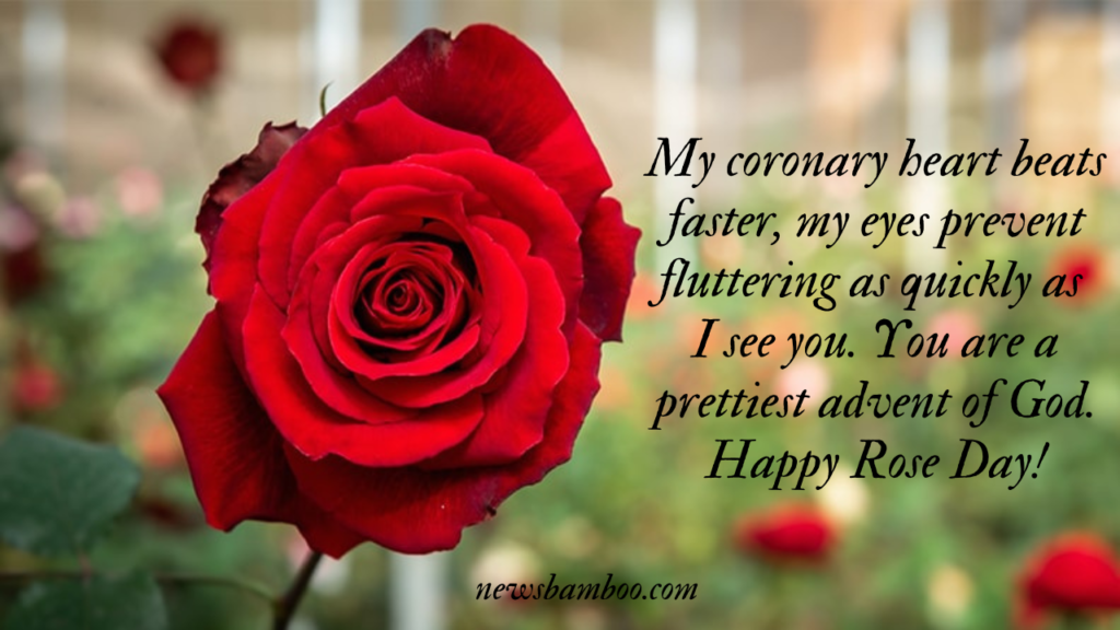 Rose Day Quotes, Wishes and Messages