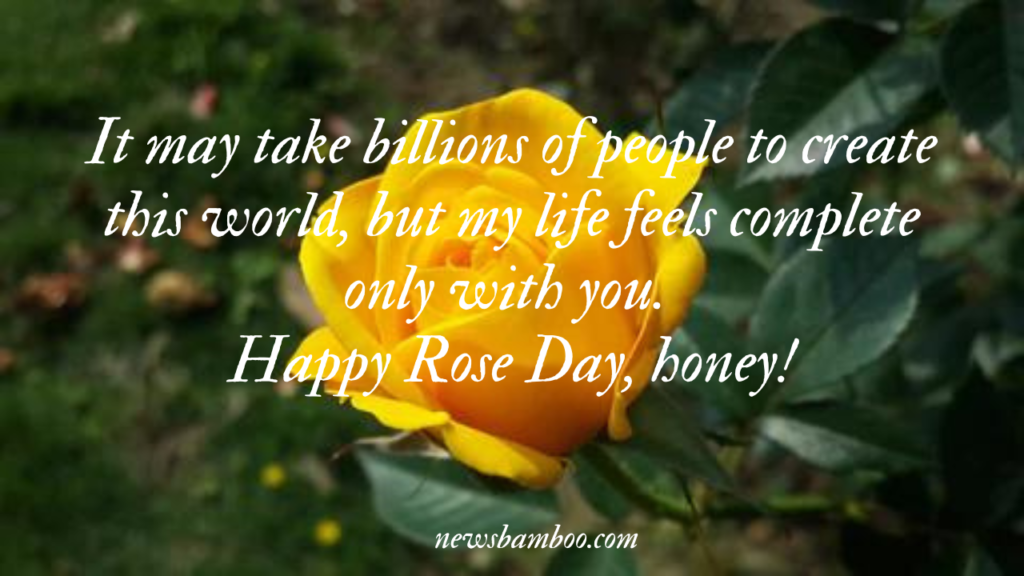 Rose Day Quotes, Wishes and Messages