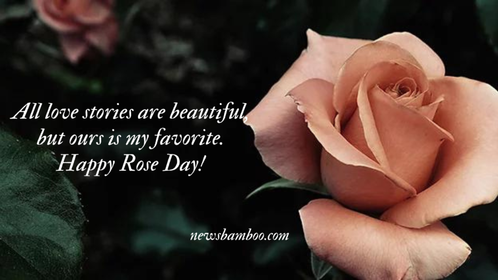 Rose Day Quotes, Wishes and Messages