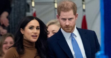 Nelson Mandela's Granddaughter Claims Prince Harry And Meghan Markle Are Profiting From Former Leader's Legacy