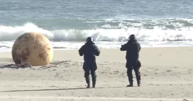 ‘Spy’ balloon, bomb, or UFO? Mysterious ‘iron ball’ on beach baffles Japan