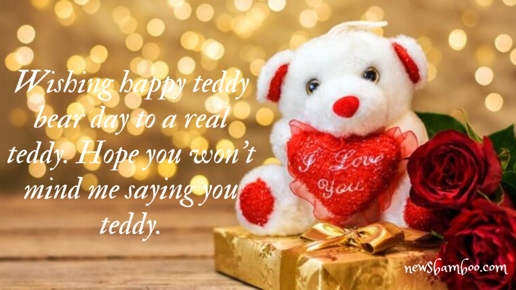 Happy Teddy Day 2023: Best wishes, Quotes  and Messages