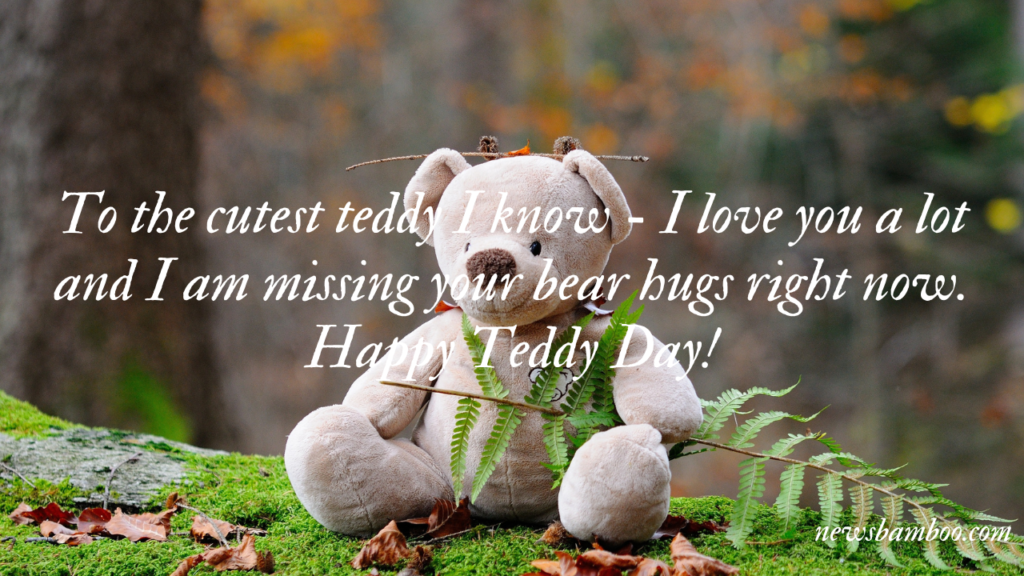 Happy Teddy Day 2023: Best wishes, Quotes  and Messages