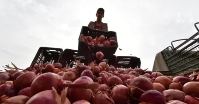Maharashtra Farmer Gets ₹ 2.49 Profit On Sale Of 512 Kg Onions