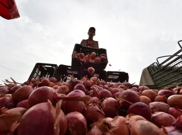 Maharashtra Farmer Gets ₹ 2.49 Profit On Sale Of 512 Kg Onions