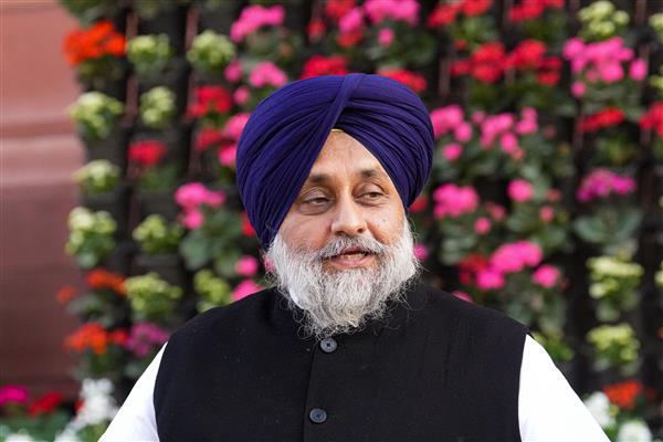 HC grants former deputy CM Sukhbir anticipatory bail in police firing case